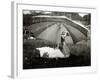 A Goose Takes Cover from the Heavy Rainfall Underneath an Umbrella, Dorset, October 1968-null-Framed Photographic Print