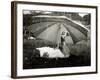 A Goose Takes Cover from the Heavy Rainfall Underneath an Umbrella, Dorset, October 1968-null-Framed Photographic Print