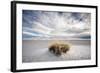 A Grass Mound in a Barren Desert in USA-Jody Miller-Framed Photographic Print