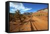 A Gravel Road Skirts the Capitol Reef in Capitol Reef National Park, Utah-Richard Wright-Framed Stretched Canvas