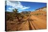 A Gravel Road Skirts the Capitol Reef in Capitol Reef National Park, Utah-Richard Wright-Stretched Canvas