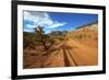 A Gravel Road Skirts the Capitol Reef in Capitol Reef National Park, Utah-Richard Wright-Framed Photographic Print