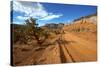 A Gravel Road Skirts the Capitol Reef in Capitol Reef National Park, Utah-Richard Wright-Stretched Canvas