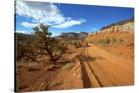 A Gravel Road Skirts the Capitol Reef in Capitol Reef National Park, Utah-Richard Wright-Stretched Canvas