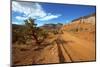 A Gravel Road Skirts the Capitol Reef in Capitol Reef National Park, Utah-Richard Wright-Mounted Photographic Print