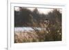 A Gray Heron, Ardea Cinerea, in Grass-Alex Saberi-Framed Photographic Print