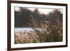 A Gray Heron, Ardea Cinerea, in Grass-Alex Saberi-Framed Photographic Print