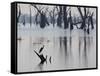 A Gray Heron, Ardea Cinerea, Rests on a Dead Tree in a Lake-Alex Saberi-Framed Stretched Canvas