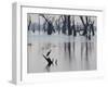 A Gray Heron, Ardea Cinerea, Rests on a Dead Tree in a Lake-Alex Saberi-Framed Premium Photographic Print