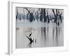 A Gray Heron, Ardea Cinerea, Rests on a Dead Tree in a Lake-Alex Saberi-Framed Photographic Print