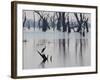 A Gray Heron, Ardea Cinerea, Rests on a Dead Tree in a Lake-Alex Saberi-Framed Photographic Print