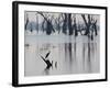 A Gray Heron, Ardea Cinerea, Rests on a Dead Tree in a Lake-Alex Saberi-Framed Photographic Print