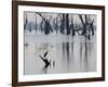 A Gray Heron, Ardea Cinerea, Rests on a Dead Tree in a Lake-Alex Saberi-Framed Photographic Print