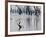 A Gray Heron, Ardea Cinerea, Rests on a Dead Tree in a Lake-Alex Saberi-Framed Photographic Print