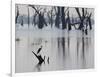 A Gray Heron, Ardea Cinerea, Rests on a Dead Tree in a Lake-Alex Saberi-Framed Photographic Print