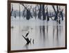 A Gray Heron, Ardea Cinerea, Rests on a Dead Tree in a Lake-Alex Saberi-Framed Photographic Print