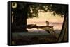 A Gray Squirrel, Sciurus Carolinensis, Sits on a Log Eating Nuts in Autumn-Alex Saberi-Framed Stretched Canvas