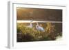 A Great Egret and Snow Goose Rest by the Lake in Ibirapuera Park at Sunset-Alex Saberi-Framed Photographic Print