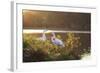 A Great Egret and Snow Goose Rest by the Lake in Ibirapuera Park at Sunset-Alex Saberi-Framed Photographic Print