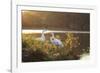 A Great Egret and Snow Goose Rest by the Lake in Ibirapuera Park at Sunset-Alex Saberi-Framed Photographic Print