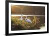 A Great Egret and Snow Goose Rest by the Lake in Ibirapuera Park at Sunset-Alex Saberi-Framed Photographic Print