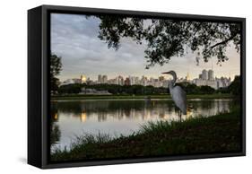 A Great Egret Looks Out over a Lake in Sao Paulo's Ibirapuera Park-Alex Saberi-Framed Stretched Canvas