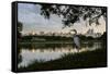 A Great Egret Looks Out over a Lake in Sao Paulo's Ibirapuera Park-Alex Saberi-Framed Stretched Canvas