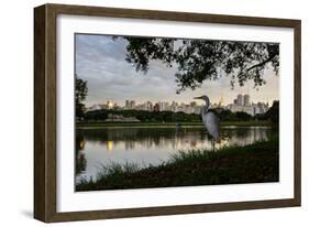 A Great Egret Looks Out over a Lake in Sao Paulo's Ibirapuera Park-Alex Saberi-Framed Photographic Print