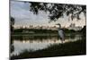 A Great Egret Looks Out over a Lake in Sao Paulo's Ibirapuera Park-Alex Saberi-Mounted Photographic Print