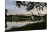 A Great Egret Looks Out over a Lake in Sao Paulo's Ibirapuera Park-Alex Saberi-Mounted Photographic Print