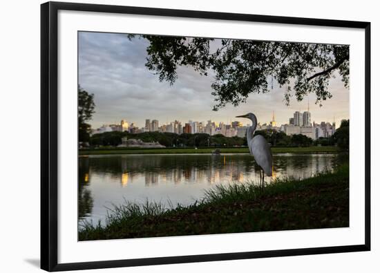 A Great Egret Looks Out over a Lake in Sao Paulo's Ibirapuera Park-Alex Saberi-Framed Photographic Print