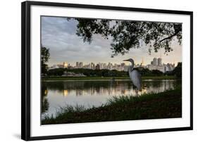 A Great Egret Looks Out over a Lake in Sao Paulo's Ibirapuera Park-Alex Saberi-Framed Photographic Print