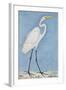 A Great Egret, Lucknow, C.1790-null-Framed Giclee Print