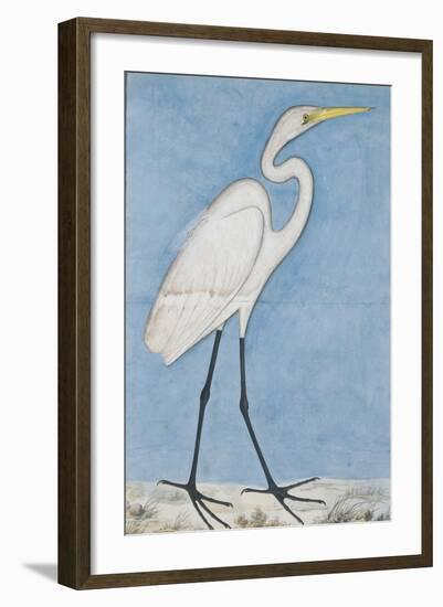 A Great Egret, Lucknow, C.1790-null-Framed Giclee Print