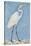 A Great Egret, Lucknow, C.1790-null-Stretched Canvas