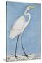 A Great Egret, Lucknow, C.1790-null-Stretched Canvas