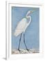 A Great Egret, Lucknow, C.1790-null-Framed Giclee Print