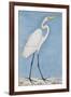 A Great Egret, Lucknow, C.1790-null-Framed Giclee Print