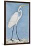 A Great Egret, Lucknow, C.1790-null-Framed Giclee Print