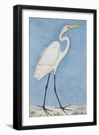 A Great Egret, Lucknow, C.1790-null-Framed Giclee Print