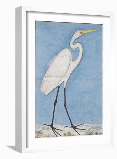 A Great Egret, Lucknow, C.1790-null-Framed Giclee Print