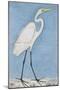 A Great Egret, Lucknow, C.1790-null-Mounted Giclee Print