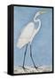 A Great Egret, Lucknow, C.1790-null-Framed Stretched Canvas