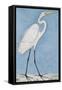 A Great Egret, Lucknow School, circa 1790-null-Framed Stretched Canvas