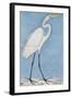 A Great Egret, Lucknow School, circa 1790-null-Framed Giclee Print