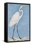 A Great Egret, Lucknow School, circa 1790-null-Framed Stretched Canvas