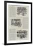 A Great International Cycle Amalgamation-null-Framed Giclee Print