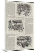 A Great International Cycle Amalgamation-null-Mounted Giclee Print
