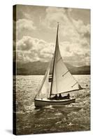 A Great Sail-Pete Kelly-Stretched Canvas