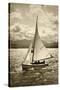 A Great Sail-Pete Kelly-Stretched Canvas